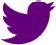 Data Universe on Social