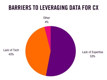 Barriers to Leveraging Data for CX